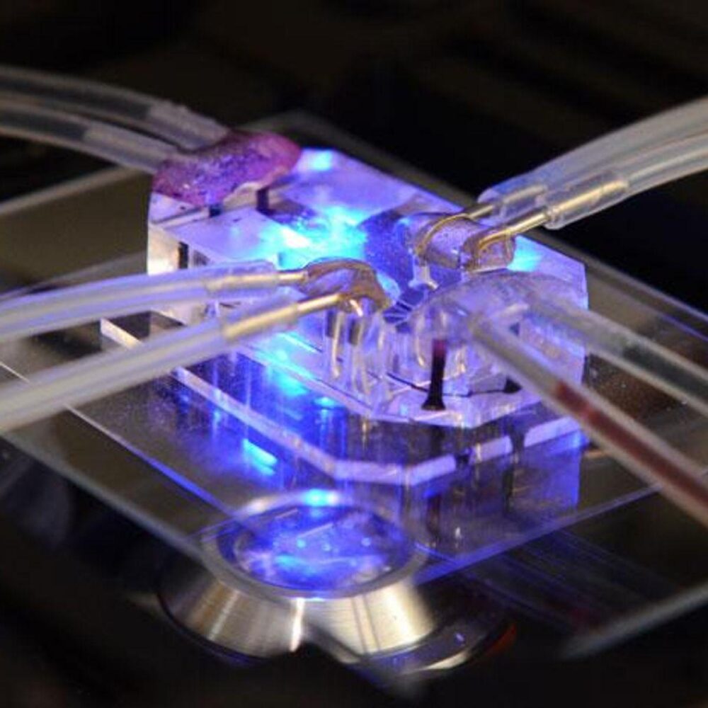 7 Powerful Organ-on-Chip Breakthroughs: Hope & Risks