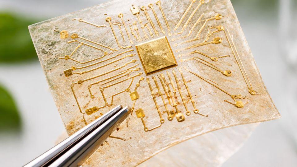 8 Powerful Biodegradable Electronics Breakthroughs: Hope & Risks