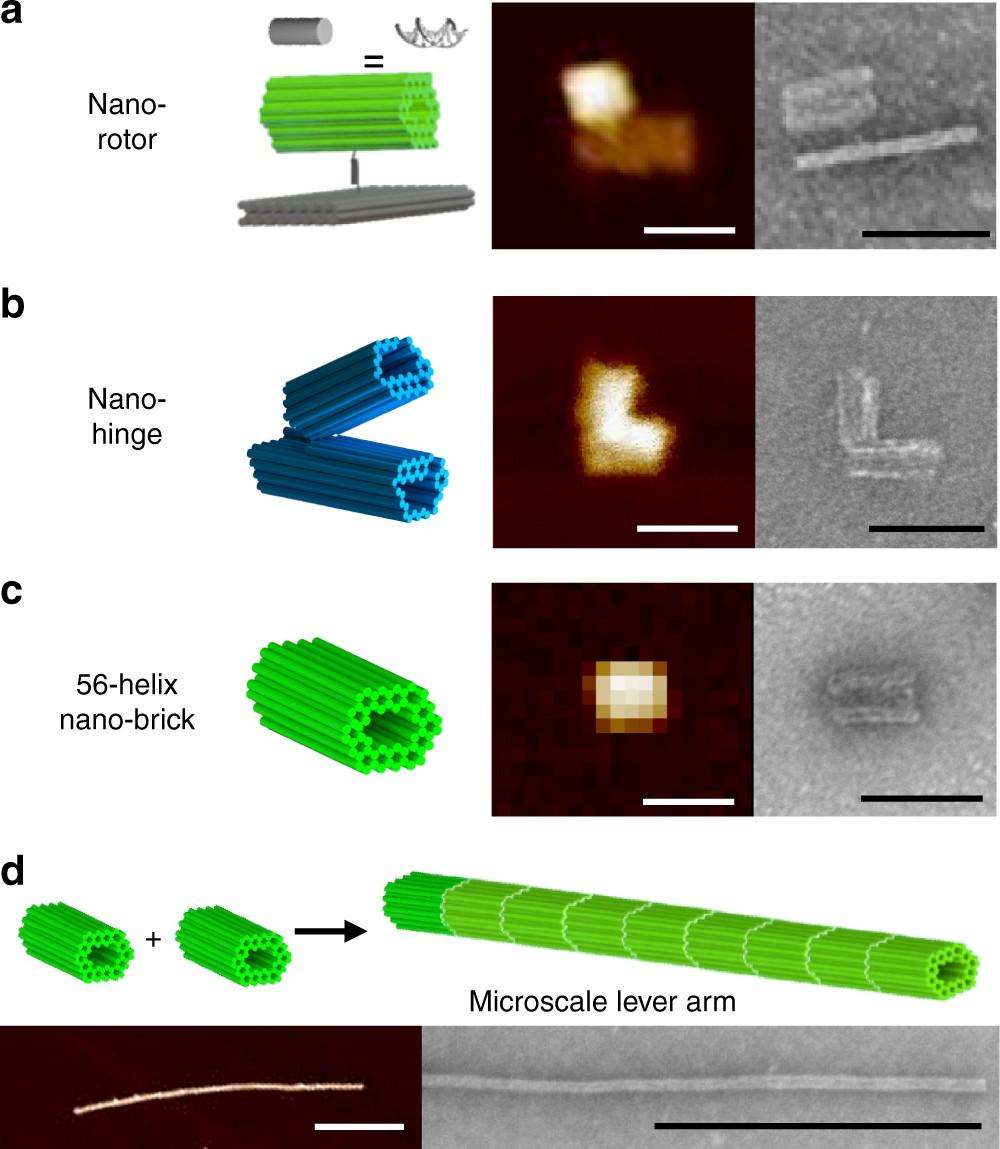 7 Powerful Molecular Robotics Breakthroughs: Hope & Risks